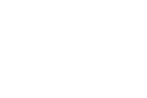 Single Studio Moves in Tampa Florida