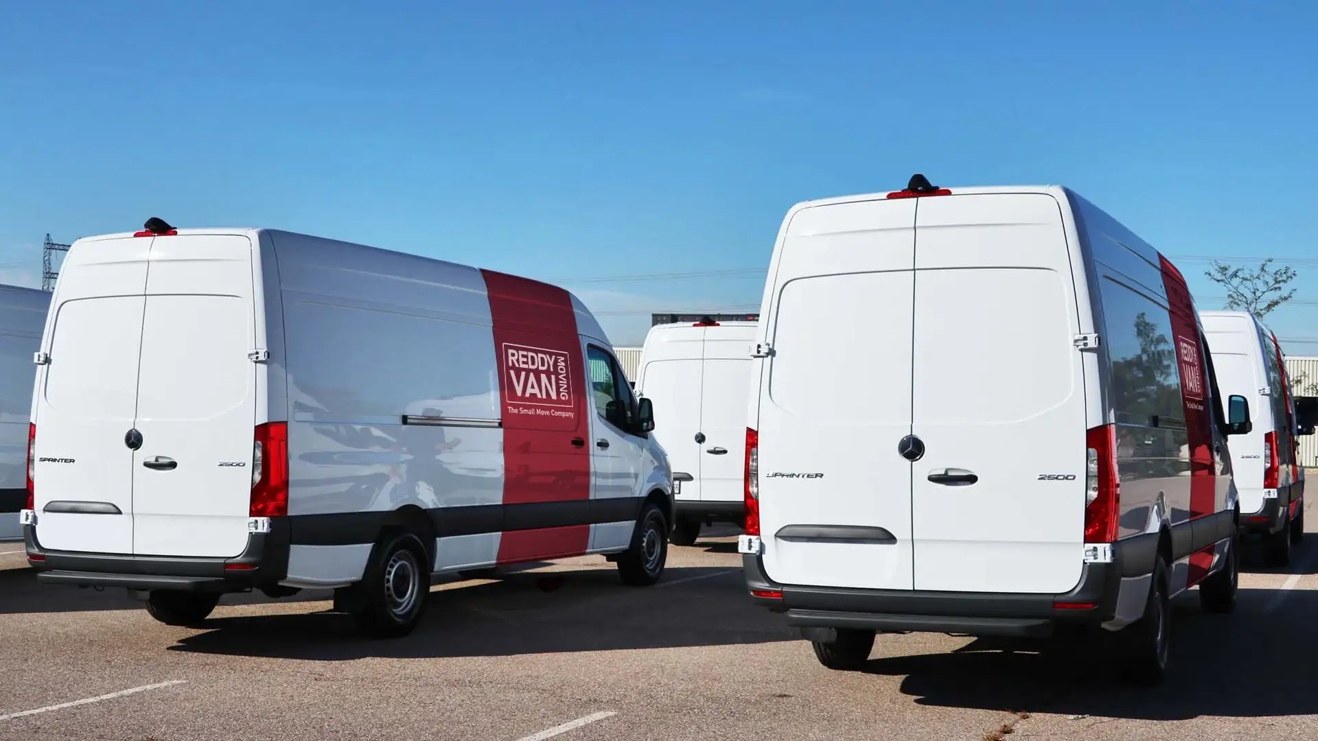 Reddy Van vehicles used by college student movers for campus and apartment moves.